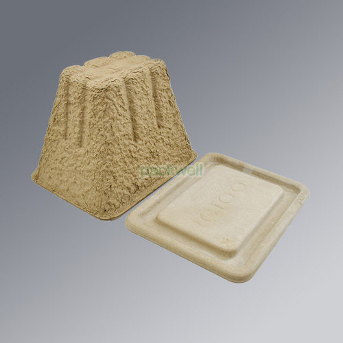 100% New Recyclable Molded Paper Pulp Tray Packaging of Car  Insulation